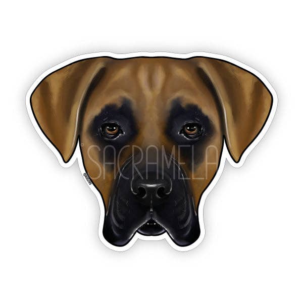 CANE CORSO BROWN BLACK for wholesale by SACRAMELA