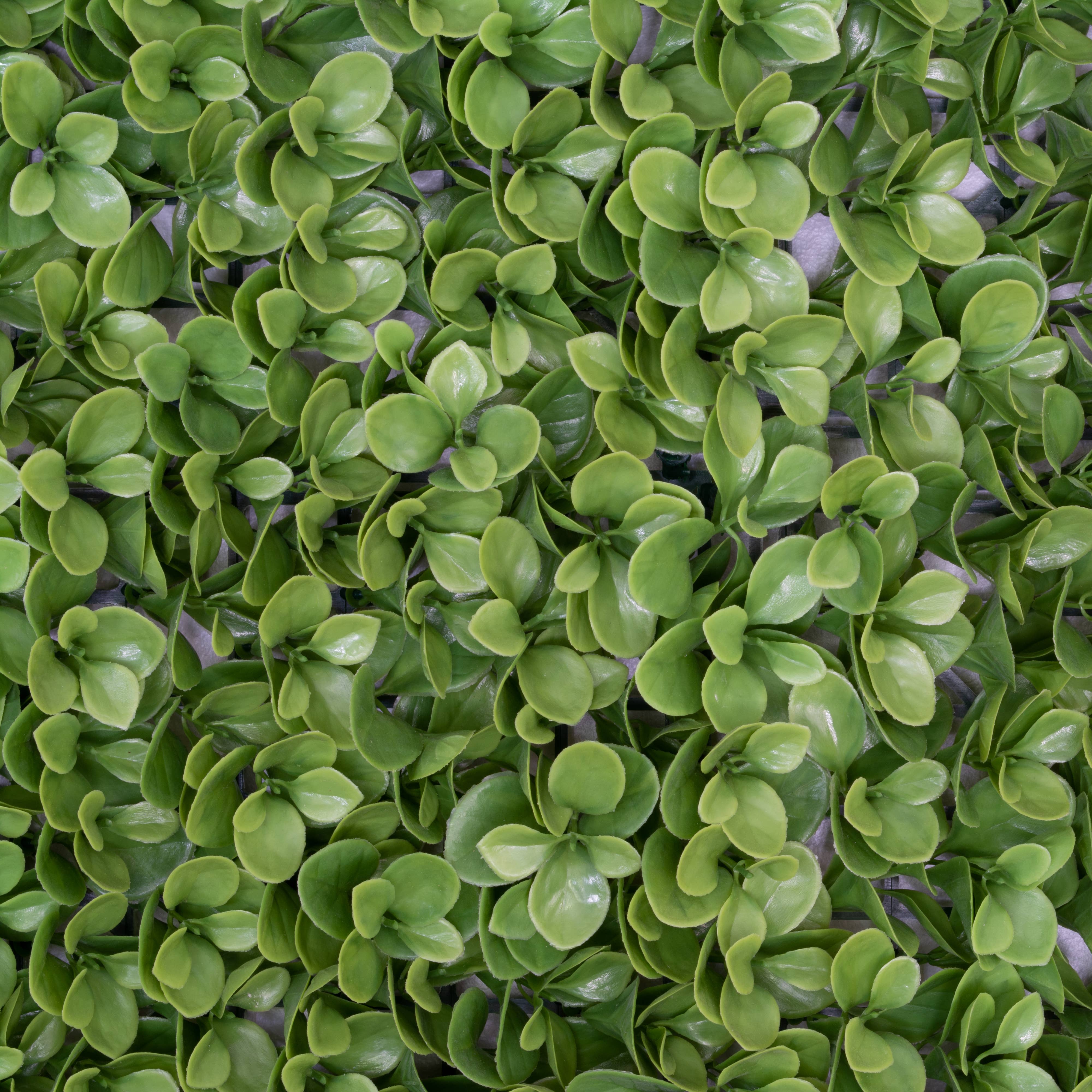 Mills Floral Company – wholesale Artificial plant – Faux Jade Leaf Roll 4' X 8'0