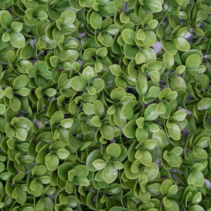 Mills Floral Company – wholesale Artificial plant – Faux Jade Leaf Roll 4' X 8'