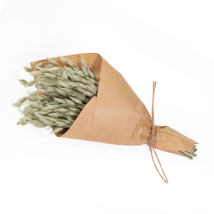 MINI Aveena Bundle #84 for wholesale by Andaluca