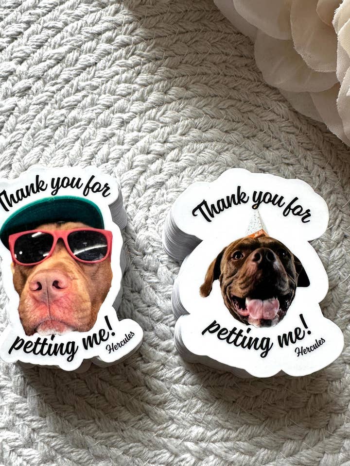 Custom Face Sticker: Die Cut Glossy Vinyl for wholesale by Marden S Design