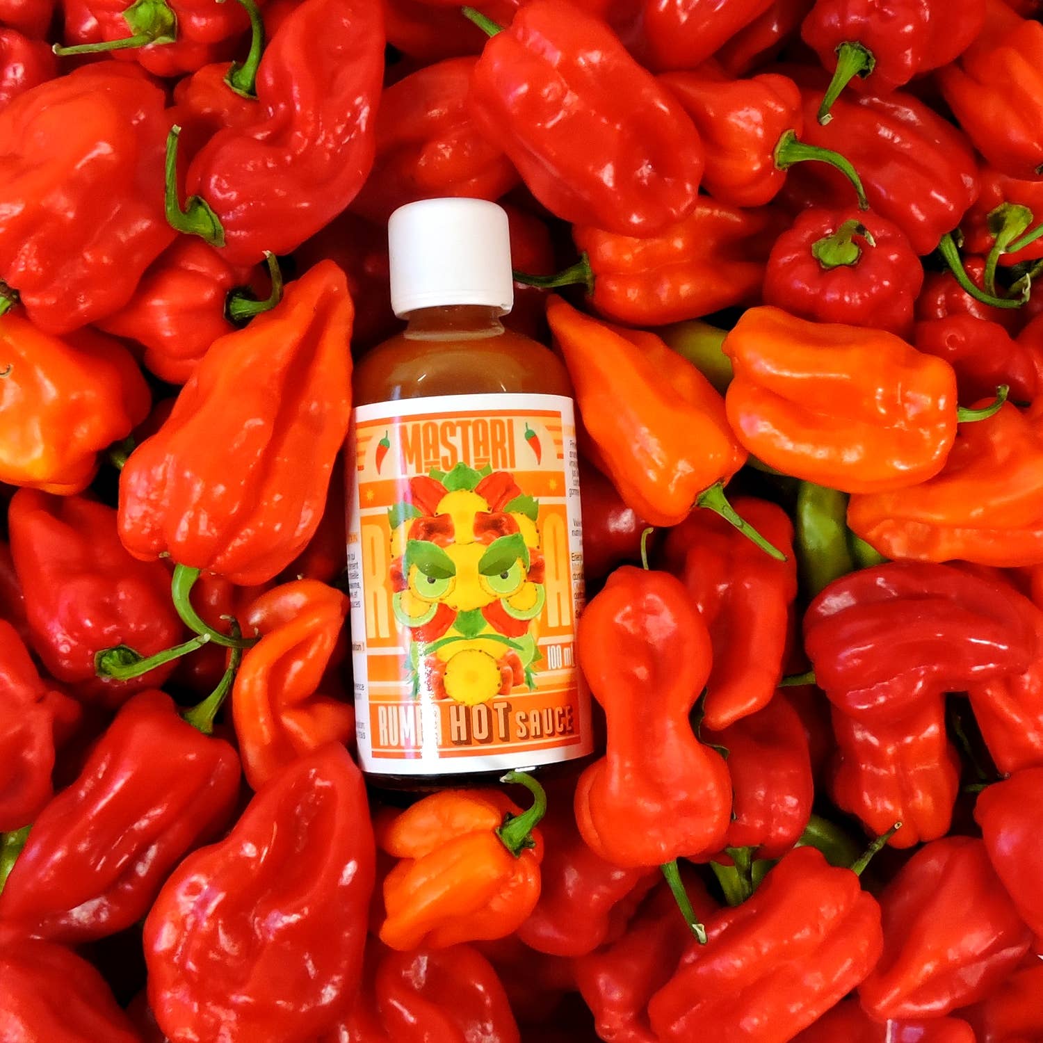 MASTARI - Wholesale Hot Sauce - RUMBA Hot Sauce 🌶️1
