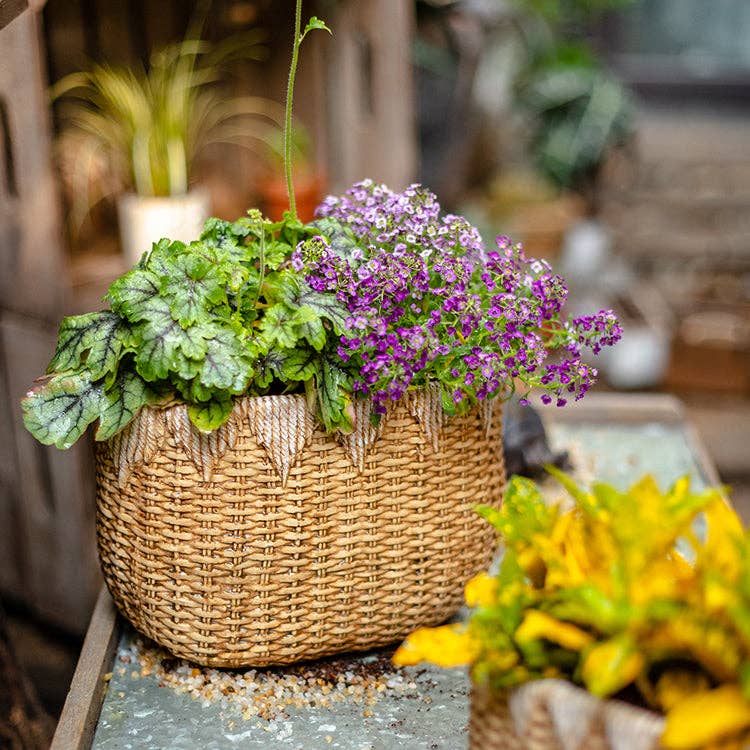 Rustic Reach - Vente Pot - Jardinière en ciment Lady Straw Basket5