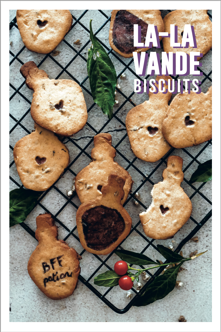 Witches box - Wholesale Recipe Card - 4 witch recipe cards4