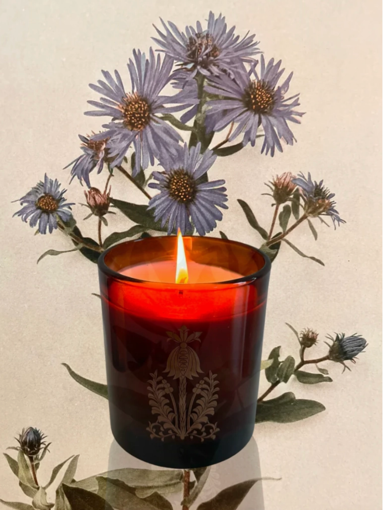 The Quiet Botanist - Wholesale Jar/Filled Candle - In The Weeds Candle - Sample Candle3