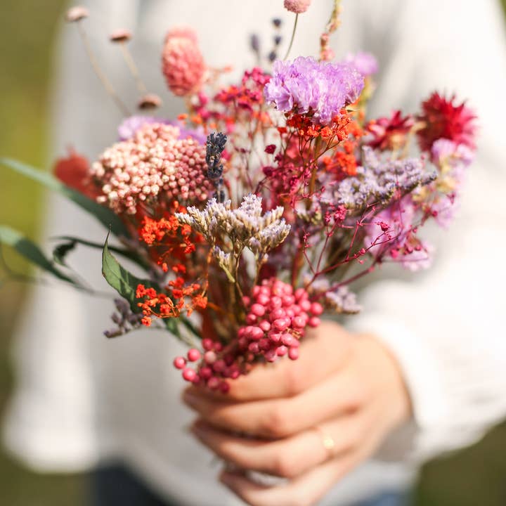 BUSKRUID - Wholesale Dried/Pressed Flowers - Brievenbusbloemen roze