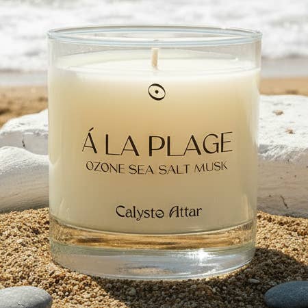 Á LA PLAGE for wholesale by calysto attar