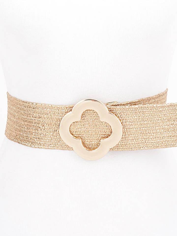 CEINTURE EXTENSIBLE MÉTALLIQUE À BOUCLE MÉTALLIQUE PB-8801 pour la vente par anbfashion