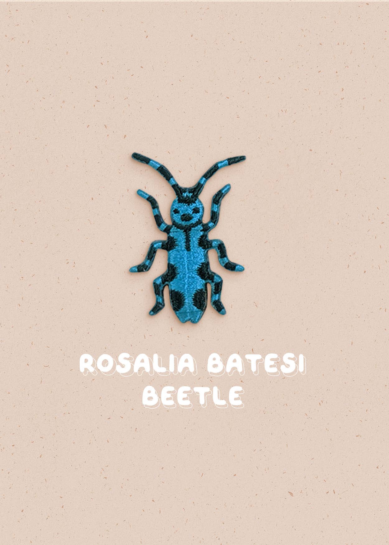 Ivycdraws - Vente Broches - Broderie Beetle Rosalia Batesi