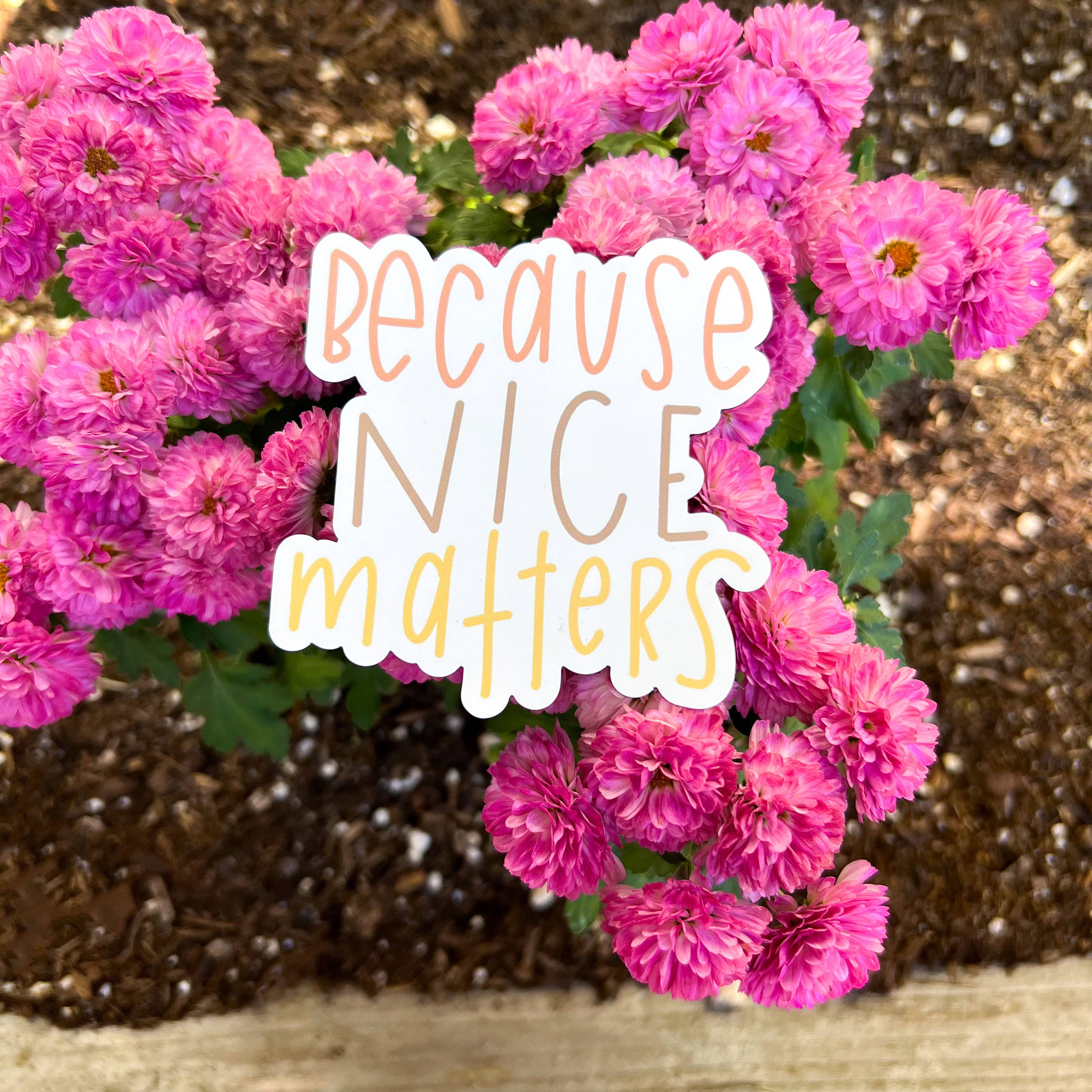 swaygirls - Venta al por mayor Imanes - Imán para nevera | Because Nice Matters12