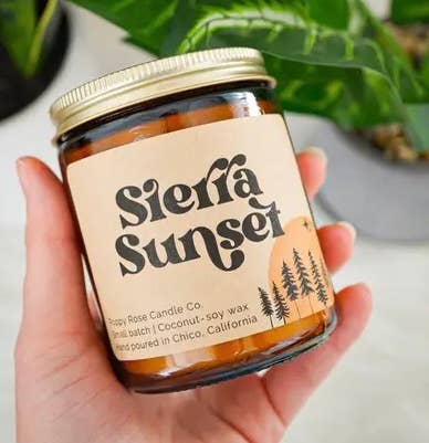 Poppy Rose Candle Co. - Wholesale Jar/Filled Candle - 12 Bestselling Candles Sampler - Full size candles1