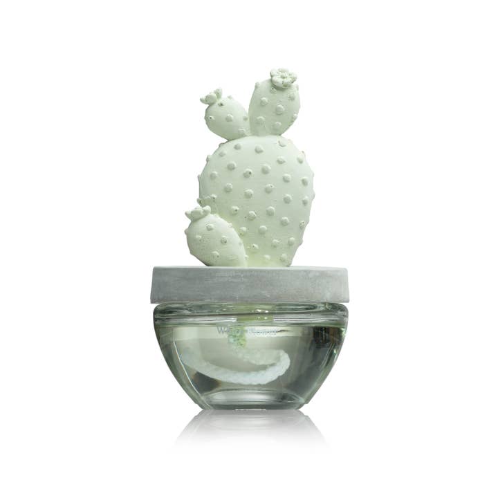 Pretty Valley Home – wholesale Reed diffuser – Cactus - Bunny Ear Cactus ceramic diffuser gift set - 100ml
