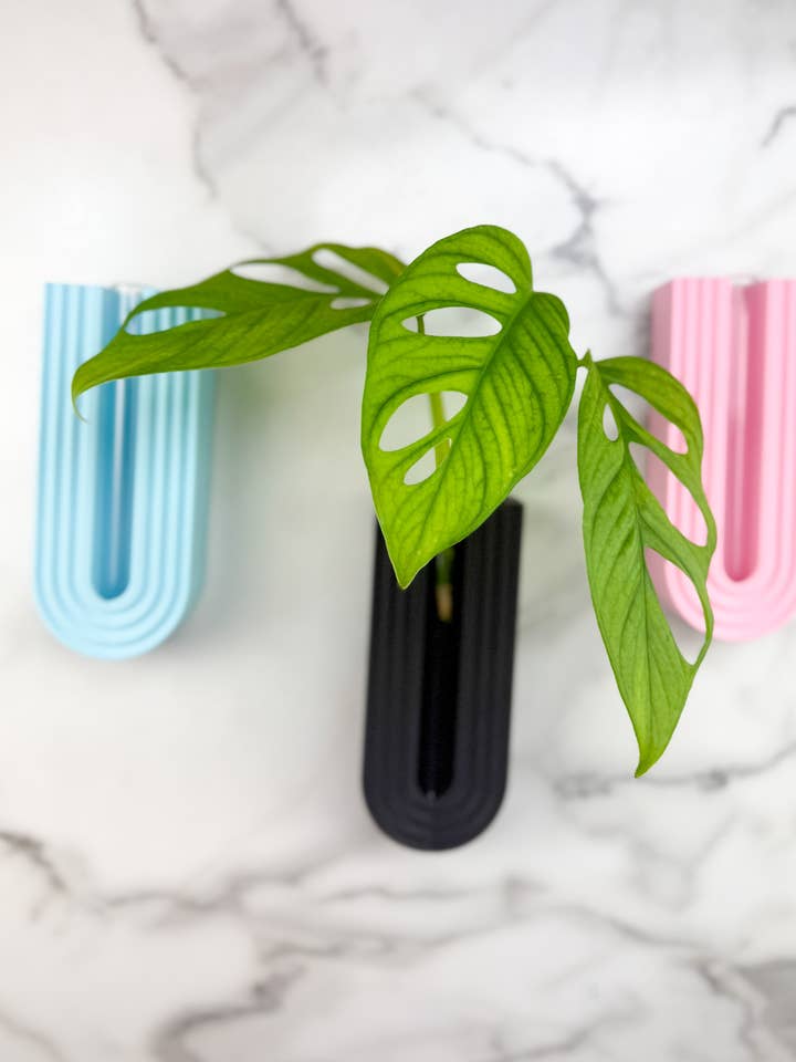 Test Tube Propagation Hanger for wholesale by Greens N' Things LLC