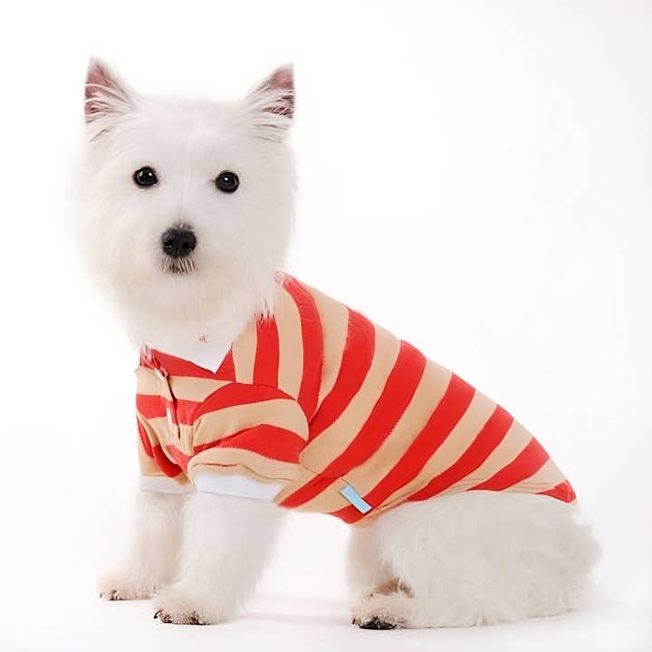 Dogo Pet - Wholesale Pet Shirt - Dog - PP Stripe Polo Shirt11