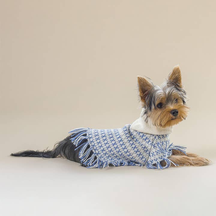 Alqo Wasi - Venta al por mayor Poncho - Perros - Poncho para perro Sofia de alpaca azul claro
