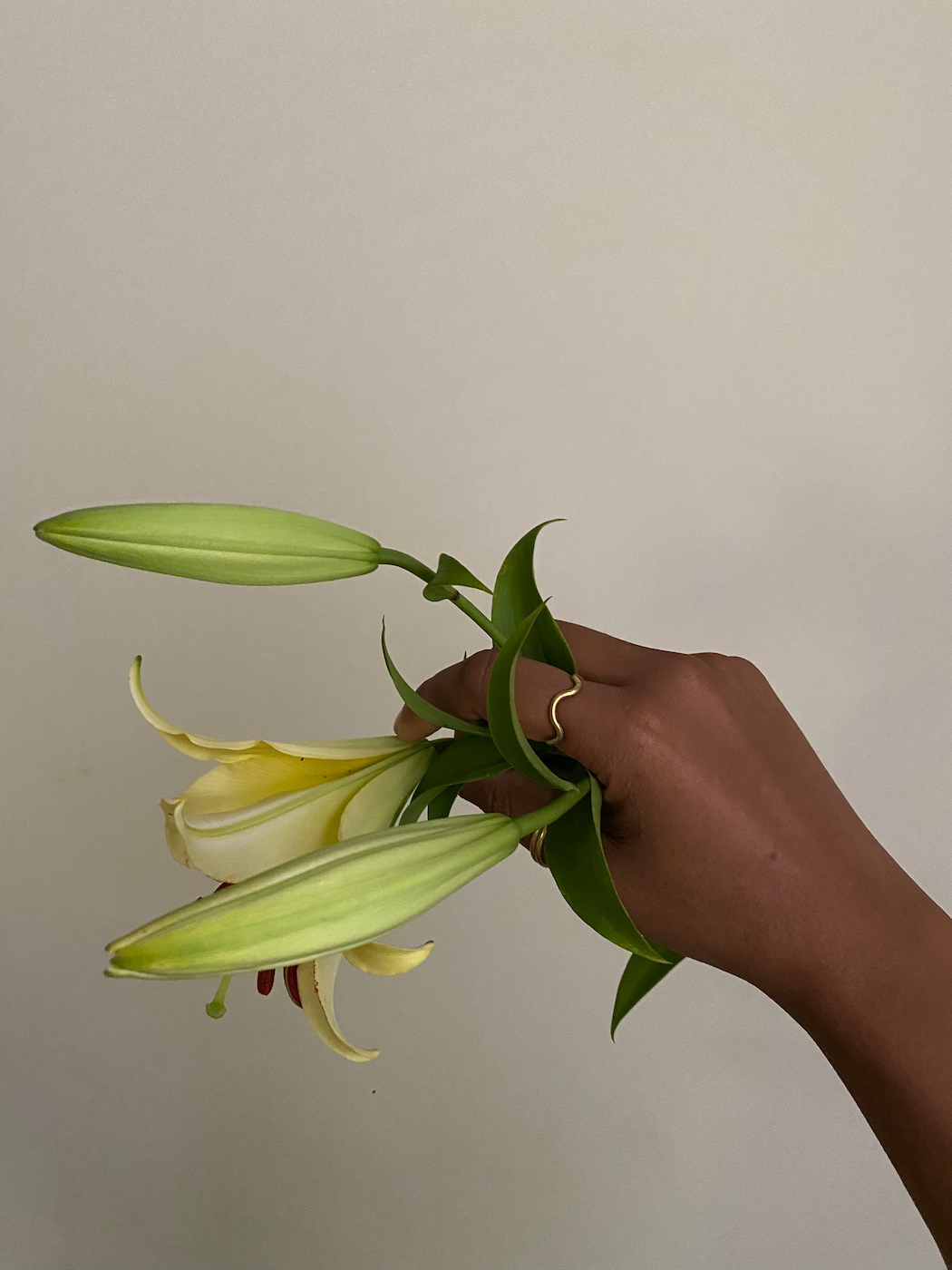 Mahnal Jewelry - Wholesale Band/gestapelde ring - Kundalini-ring2