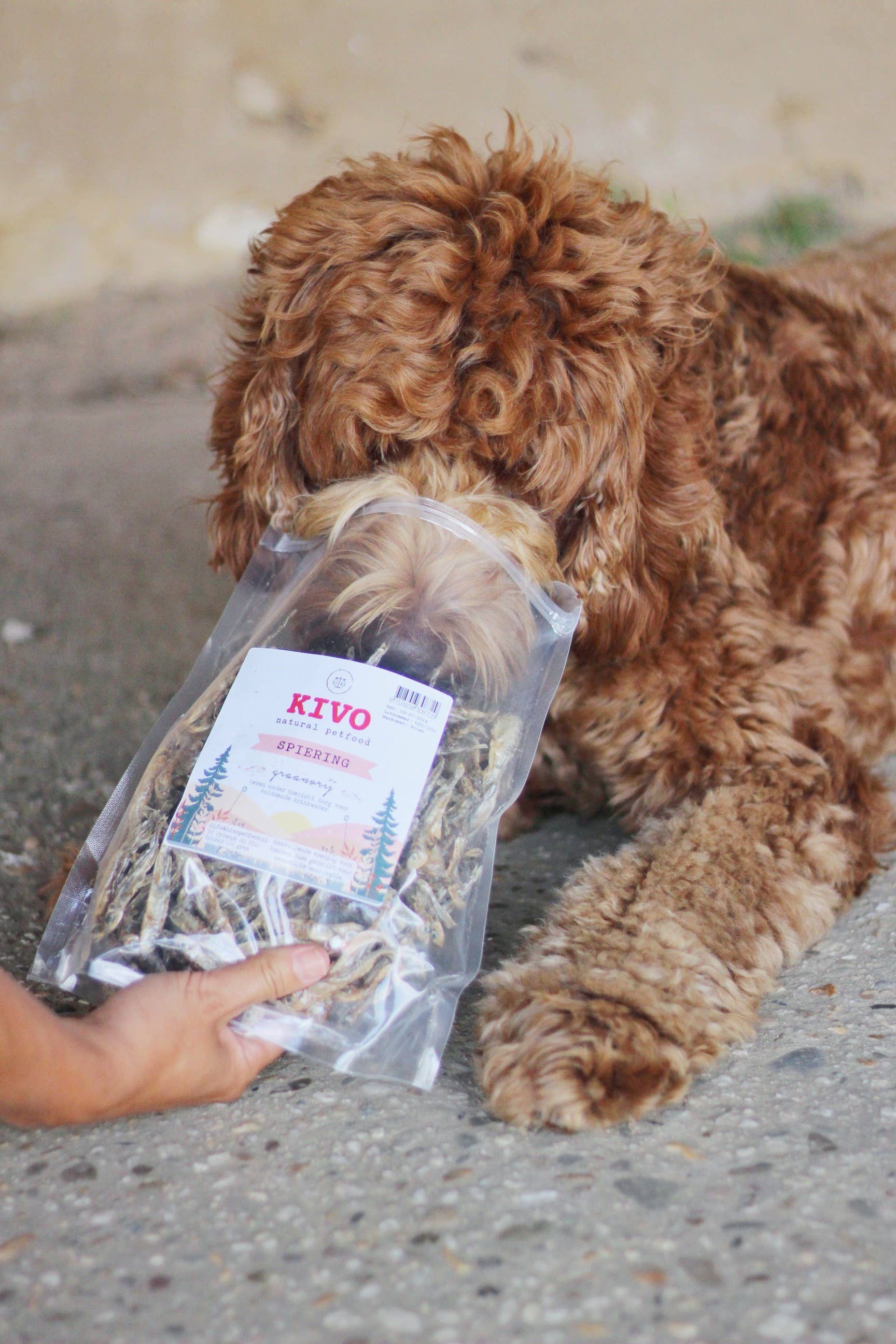 Kivo Petfood - Wholesale Pet Treats - Dog - Dog snack - Muscle - 200g3