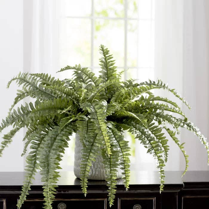 Larksilk - Wholesale Artificial Plant - 48" Boston Fern Plant - Indoor/Outdoor Faux Fern1