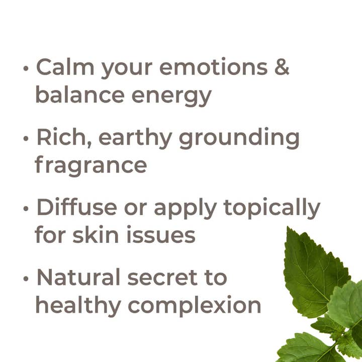 Plant Therapy - Wholesale Essential Oil - Patchouli Essential Oil 10 mL
