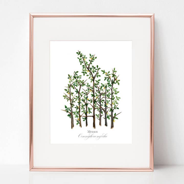 DE BEGRAFENIS VAN JEZUS, MIRRE, Commiflora myrrha voor wholesale door Rose Harrington