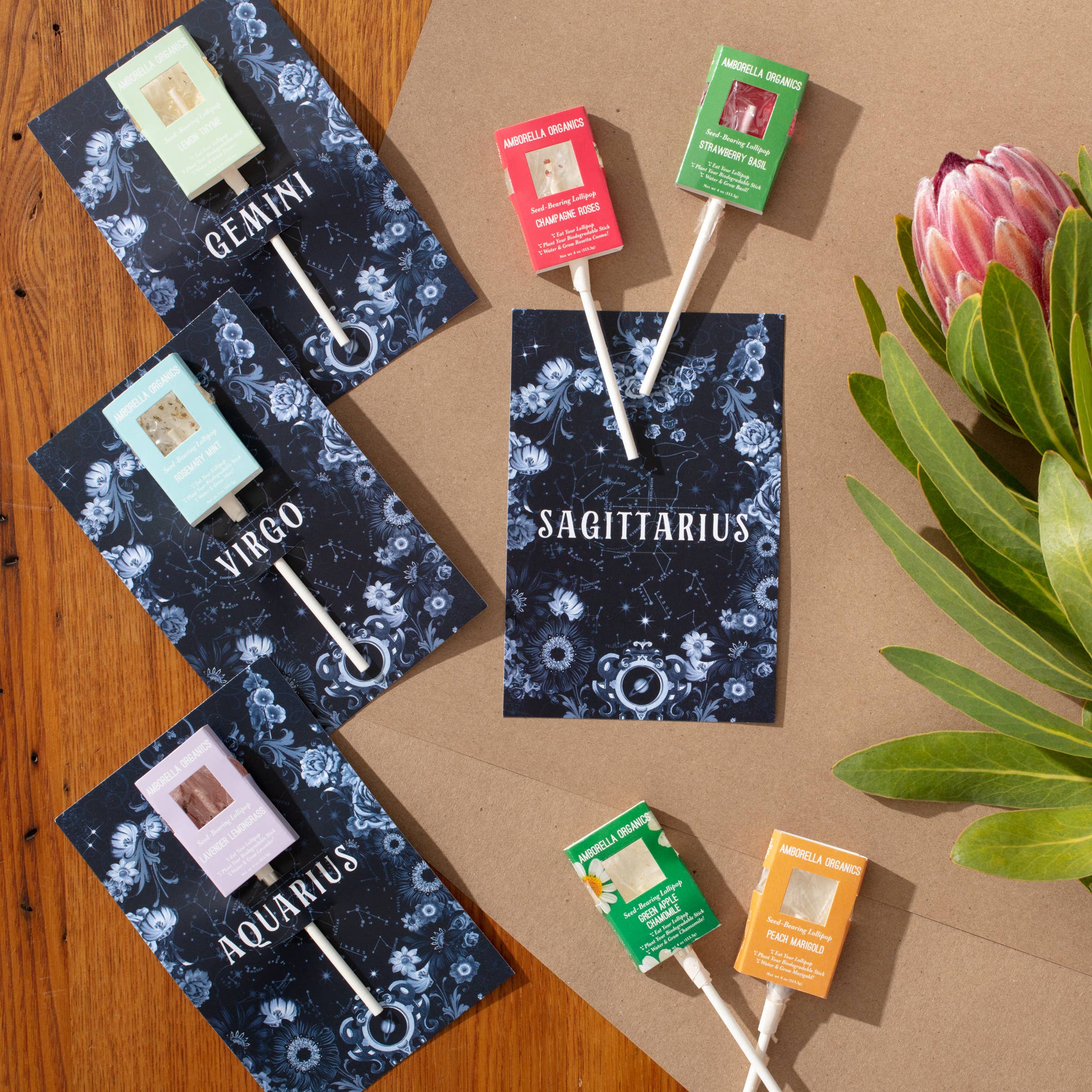 Amborella Organics - Wholesale Lollipop - Astrology Cards w/ Seed-Bearing Lollipop (Eat, Plant, Grow)2