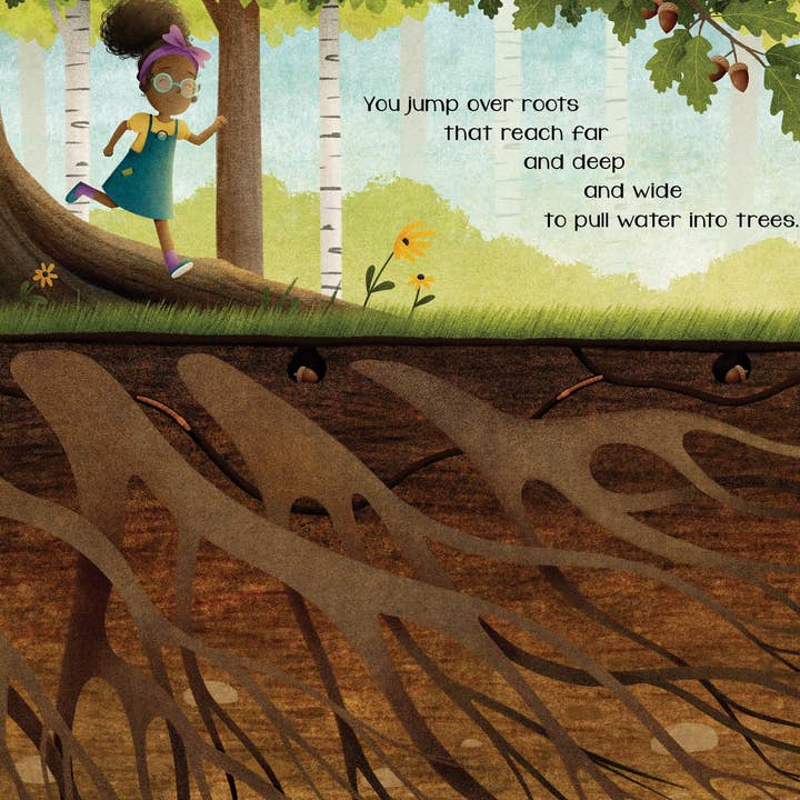 Sleeping Bear Press - Wholesale Book - Kids - The Secret of Fall Picture Book1