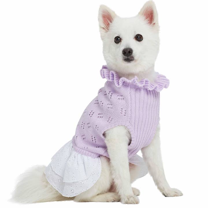 Blueberry Pet - Wholesale Pet Sweater - Dog - My Cutie Princess Ruffle Collar Dog Sweater Dress6