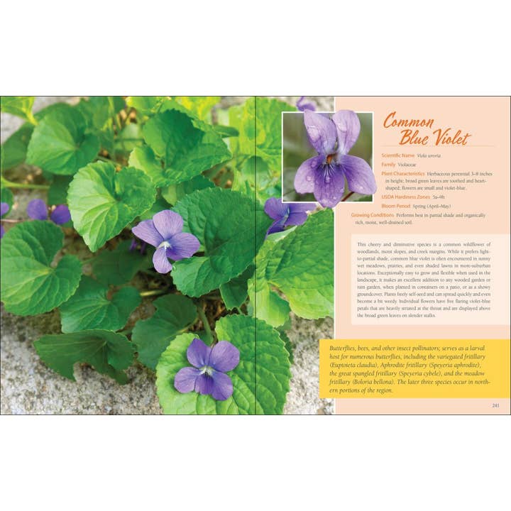 AdventureKEEN - Wholesale Book - Adult - Native Plant Gardening: Southeast