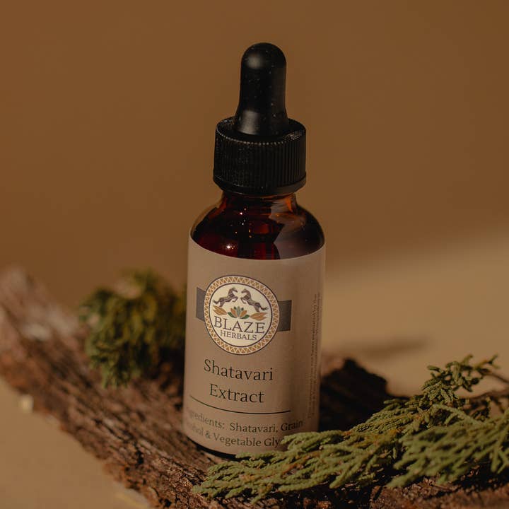 Shatavari for wholesale by Blaze Herbals