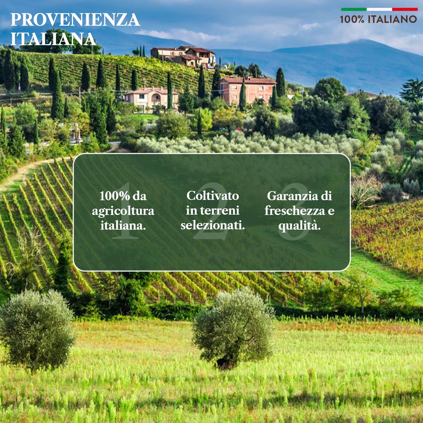 BENVOLIO.BIO by Wizebite S.r.l. SB - Wholesale Olive Oil - BENVOLIO Organic Extra Virgin Olive Oil 100% Italian 500ml2