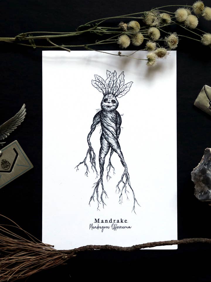 Mandrake Print for wholesale by ScreamPrintShop