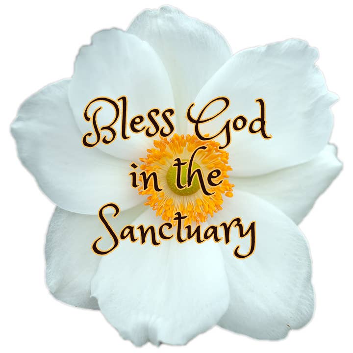 Adhesivo «Bendice a Dios en el santuario» para venta al por mayor de Wear Us Out