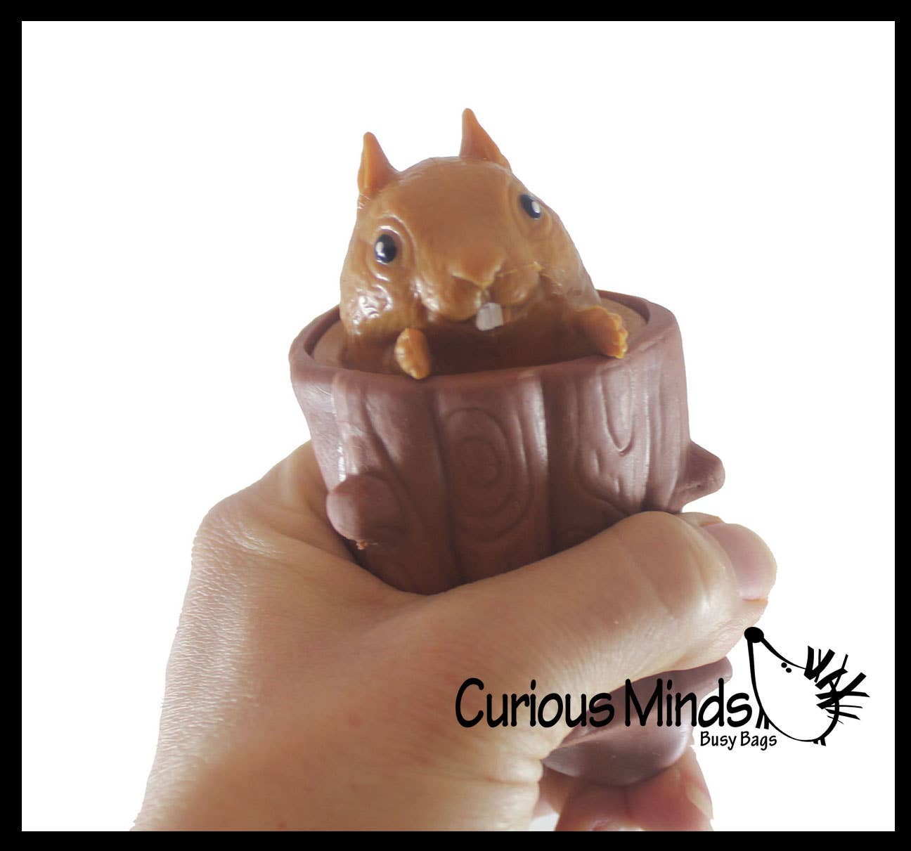 Curious Minds Toys - Wholesale Squishy Toy - Kids & Baby - 1 Squirrel in Stump - Adorable Pop Up - Cute Squeeze Toy - F1