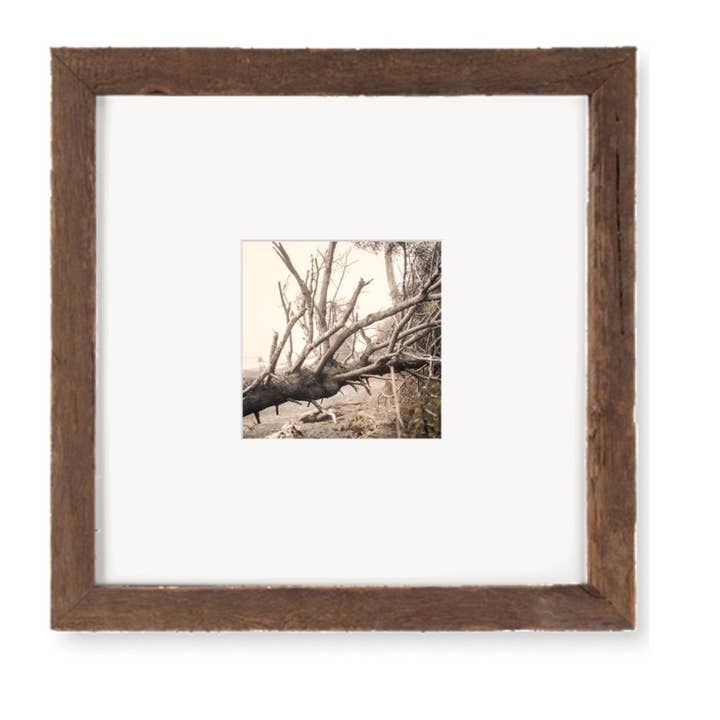 Log on Land Rialto Beach Analogs — 10x10 Framed Image for wholesale by The Studio