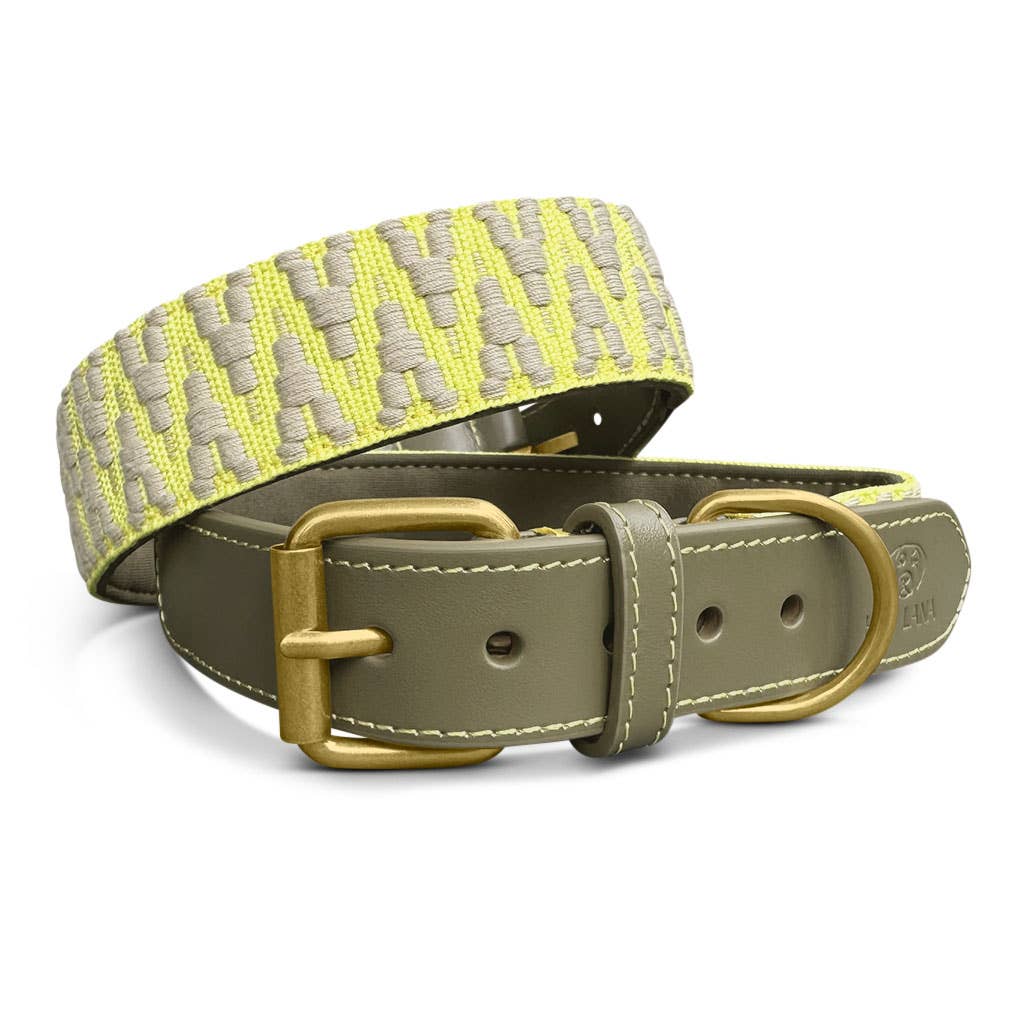 Hey Lana - Wholesale Pet Collar - Dog - Premium padded dog collar9