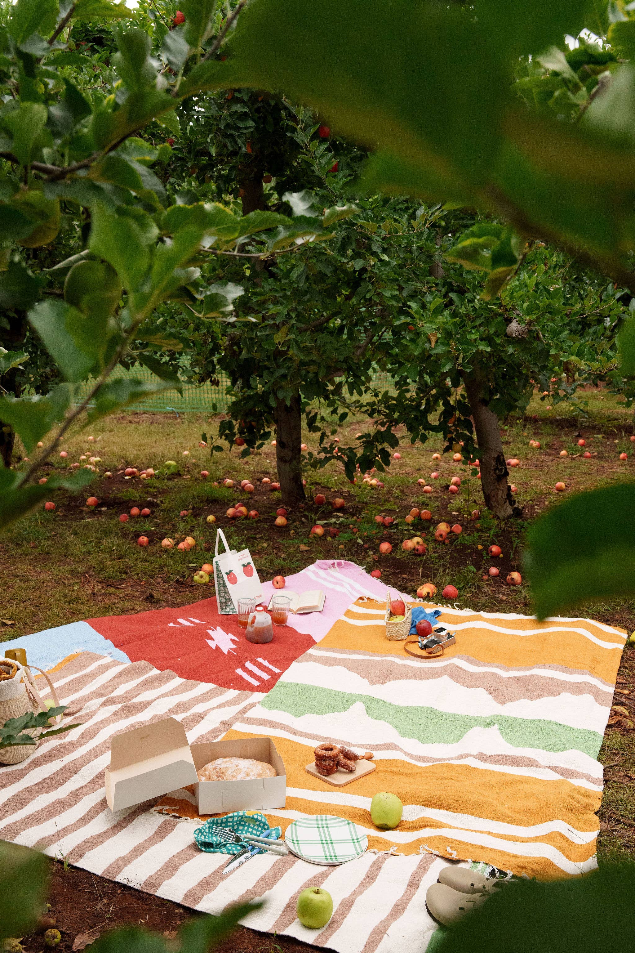 Caminito - Wholesale Decoratiedeken - Marea Manzana - Dekenrol3