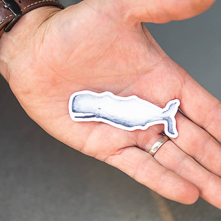 Finding Silver Pennies - Wholesale Sticker - Whale Sticker