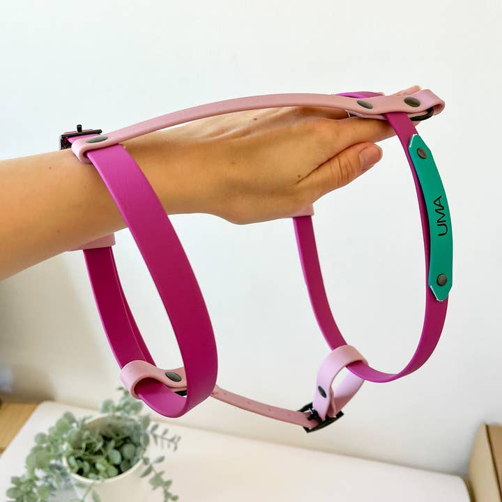 Kina Dogs - Vente Harnais – chien - Harnais personnalisable en PVC8