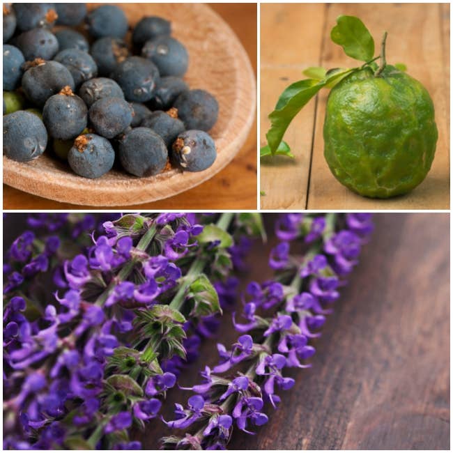 yogandha - Wholesale Bath/Body Oil - 'Detox' Essential oil Bath & Body Self Care Dry Body Oil2