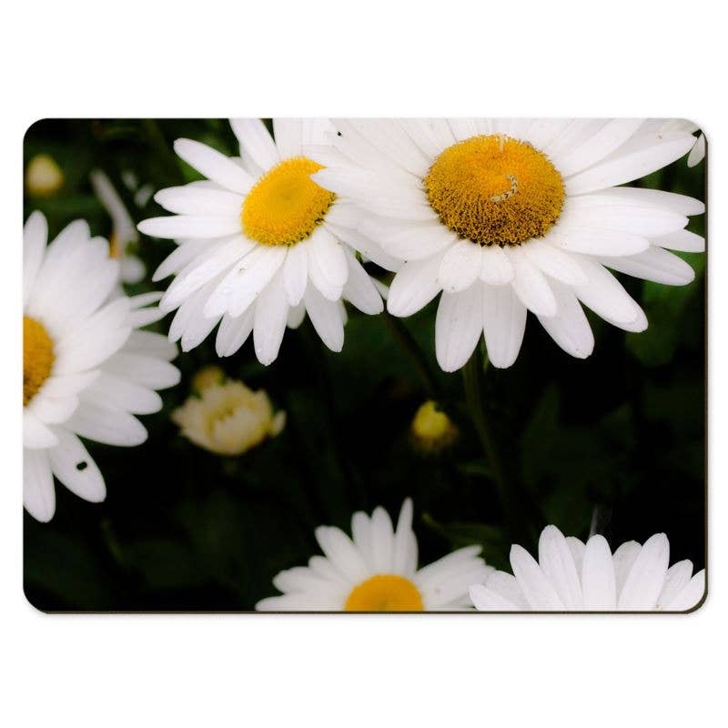 Gregory Dennis Design - Wholesale Placemat - 6 Floral Placemats  - Daisy4