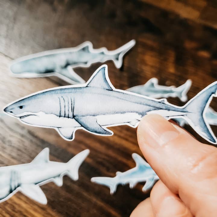 Stephanie Hathaway Designs - Wholesale Sticker - Sharks Sticker Pack, Set of 7 Matte Vinyl Stickers1