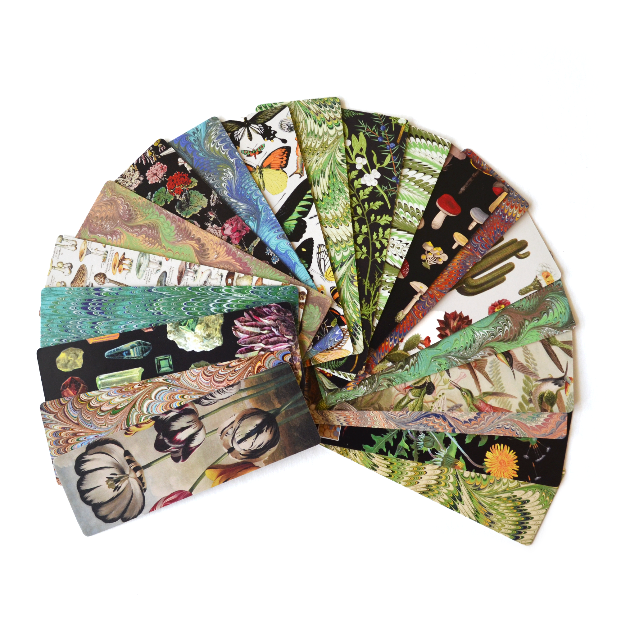 Curious Prints - Wholesale Bookmark - Dandelion Double-Sided Bookmark with Vintage Marbling3