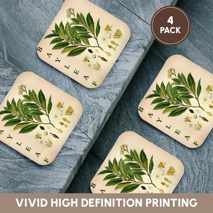3dRose - Wholesale Coasters - 3dRose, Bay Leaf Kitchen Art - Bay Leaves Tree Herb Plant Print Cooking Gift, Coaster12