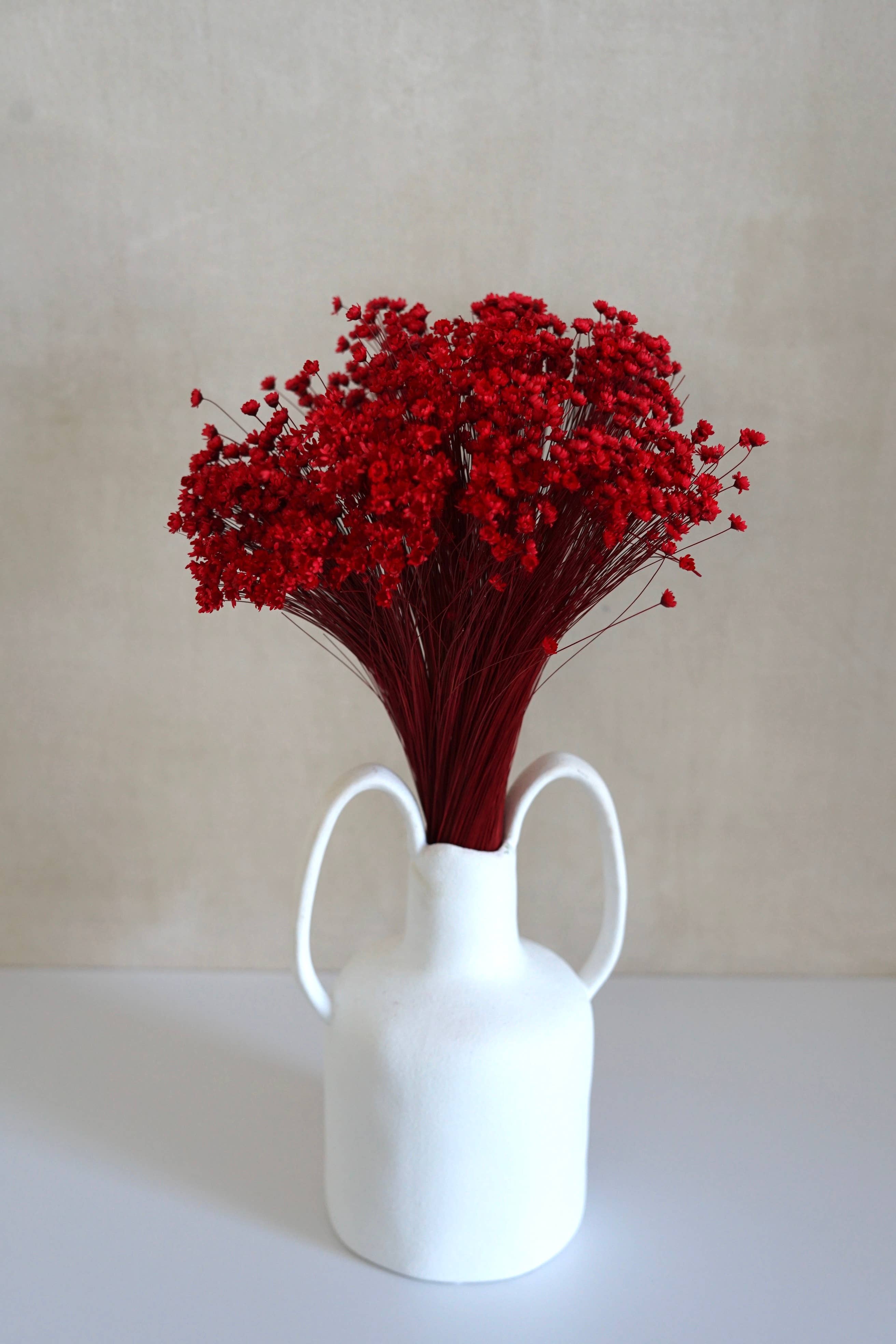 FlowerFantaSee – wholesale Torkade/pressade blommor – Torkade stjärnblommor3