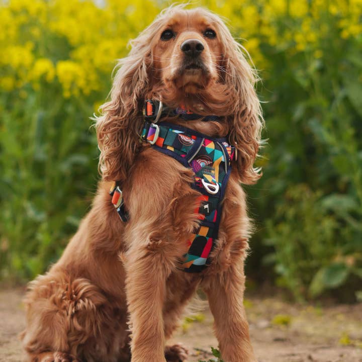 Twiggy Tags - Wholesale Pet Harness - Dog - Adjustable Adventure Dog Harness with Handle - Aurora