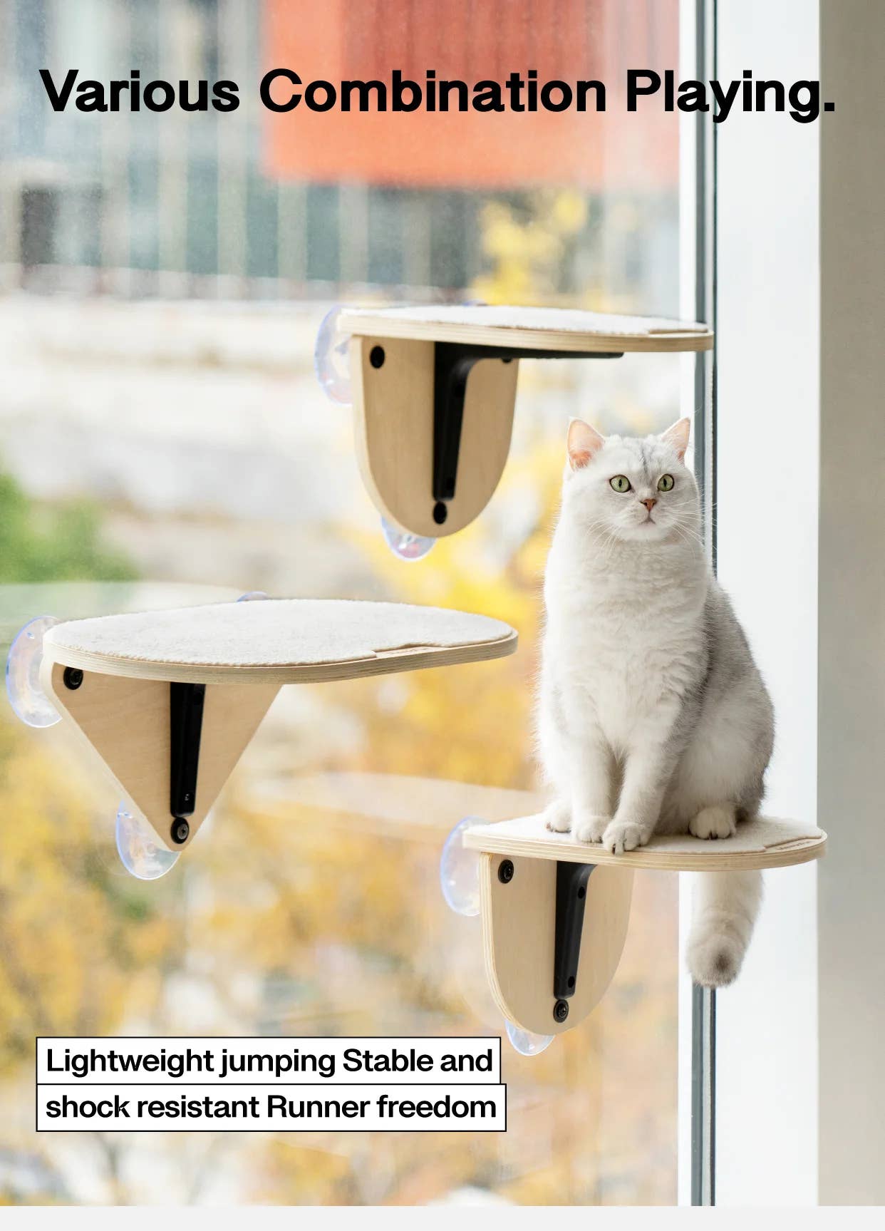 Robud & Mewoofun Official Store - Wholesale Pet Scratcher - Cat - MEWOOFUN Cotton Cat Window Bed Jumping Climbing Platform Cat8