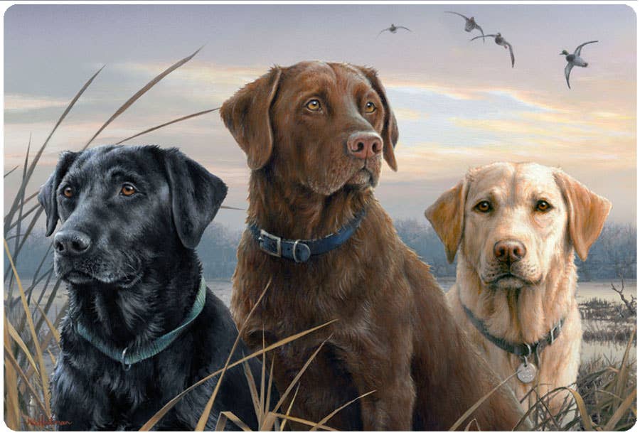 Andreas - Vente Ouvre-bocal - HB Proud Labs1