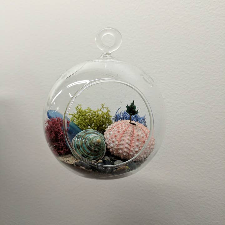 WGV International - Wholesale Terrarium - WGV Clear Hanging Glass Terrarium - 8" x 9"H