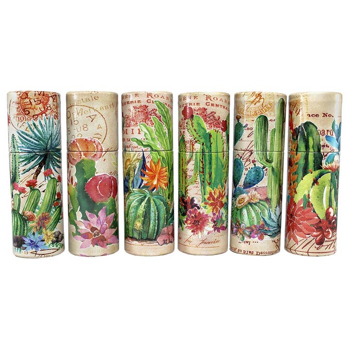 World Buyers - Wholesale Matches - Cactus Garden Tube Matchboxes 48Pack - ANN412