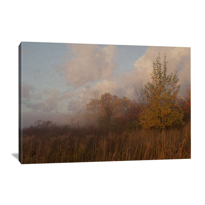 Foggy Fall Prairie Fall Canvas Landscape Wall Art Print for wholesale by Nature's Vista Photography